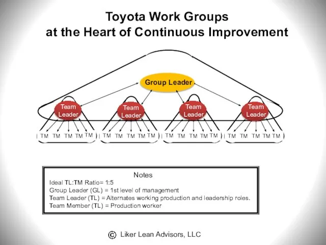 Ideal TL:TM Ratio= 1:5 Group Leader (GL) = 1st level of management