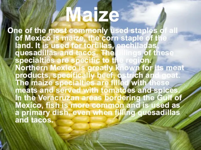 Maize One of the most commonly used staples of all of Mexico