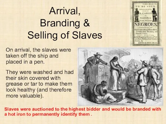 Arrival, Branding & Selling of Slaves On arrival, the slaves were taken