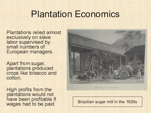 Plantation Economics Plantations relied almost exclusively on slave labor supervised by small