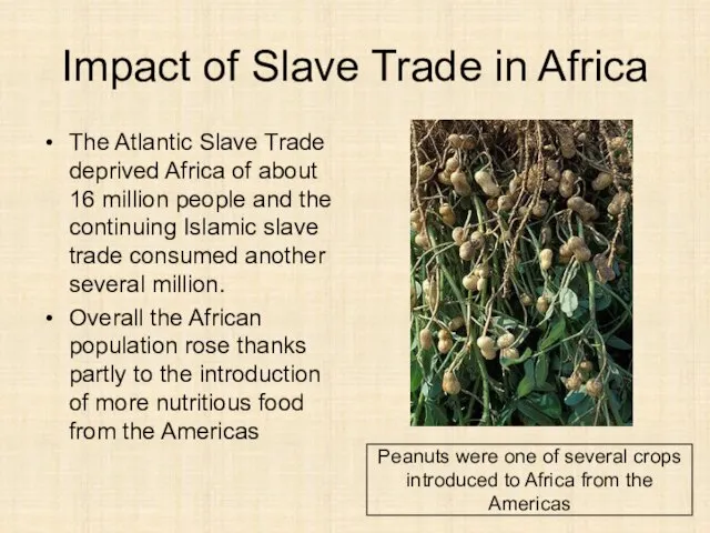 Impact of Slave Trade in Africa The Atlantic Slave Trade deprived Africa