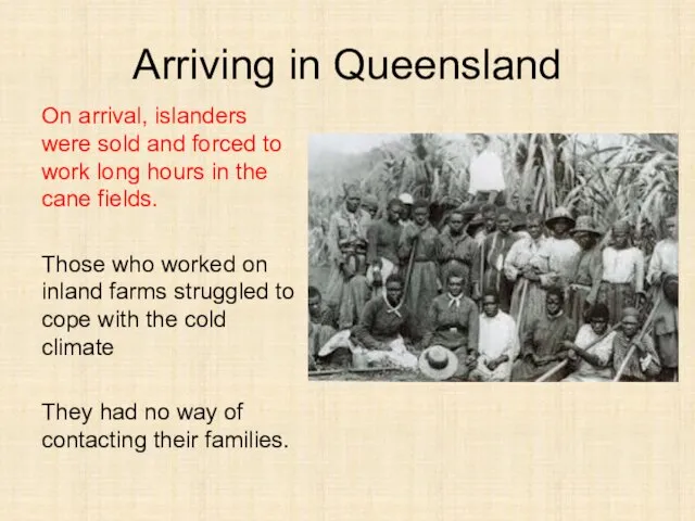 Arriving in Queensland On arrival, islanders were sold and forced to work