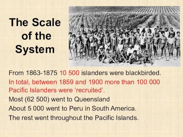 The Scale of the System From 1863-1875 10 500 islanders were blackbirded.