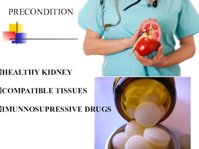 PRECONDITION HEALTHY KIDNEY COMPATIBLE TISSUES IMUNNOSUPRESSIVE DRUGS