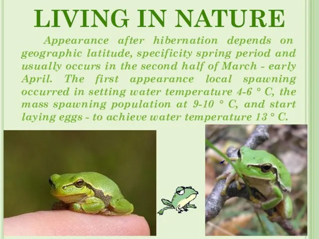 LIVING IN NATURE Appearance after hibernation depends on geographic latitude, specificity spring