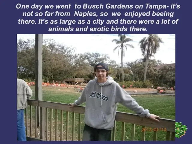 One day we went to Busch Gardens on Tampa- it’s not so