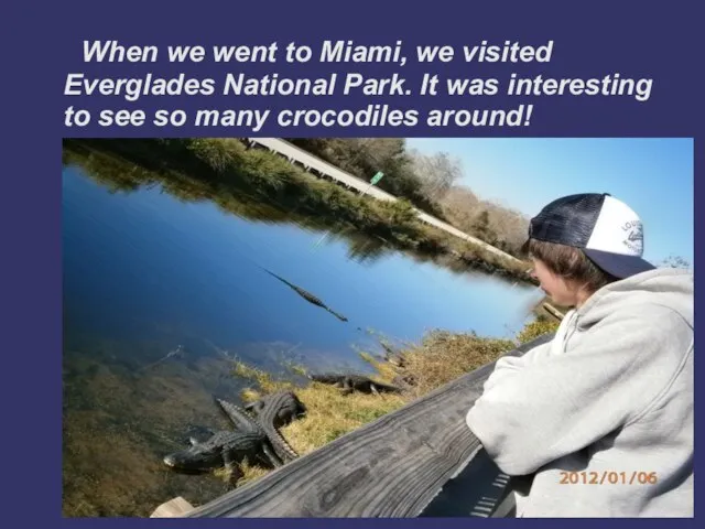 When we went to Miami, we visited Everglades National Park. It was