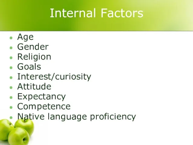 Internal Factors Age Gender Religion Goals Interest/curiosity Attitude Expectancy Competence Native language proficiency