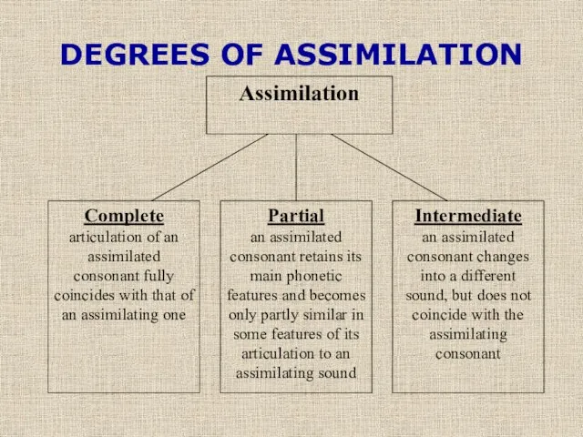 DEGREES OF ASSIMILATION