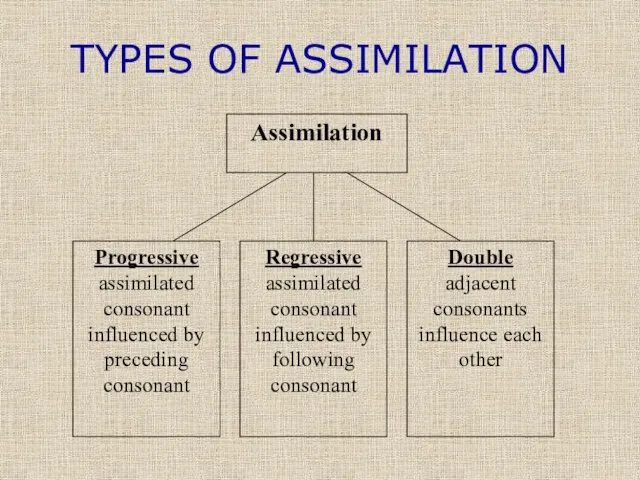 TYPES OF ASSIMILATION