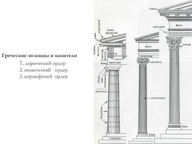 Греческие колонны и капители 1. дорический ордер 2. ионический ордер 3. коринфский ордер