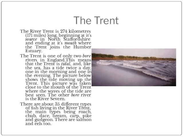 The Trent The River Trent is 274 kilometres (171 miles) long, beginning