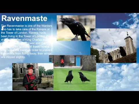 Ravenmaster The Ravenmaster is one of the Warders who has to take