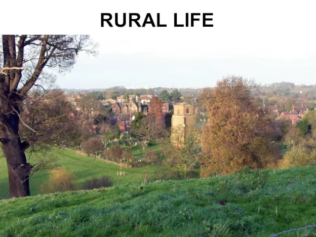 RURAL LIFE