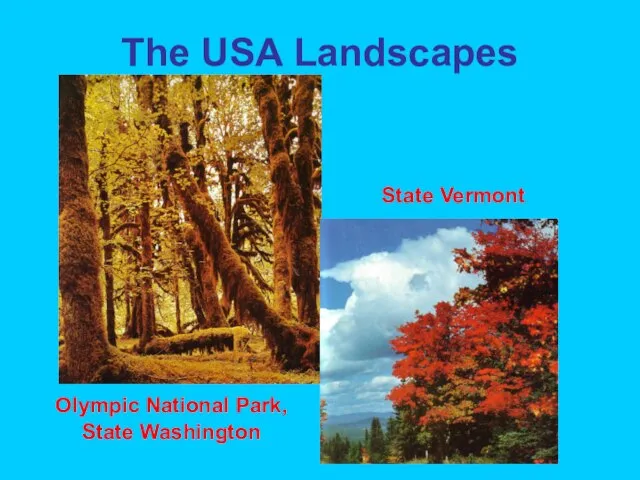 The USA Landscapes State Vermont Olympic National Park, State Washington