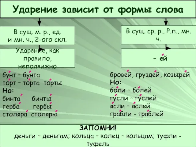 Марцофляк И.В. бунт – бунта торт – торта торты Но: бинта бинты