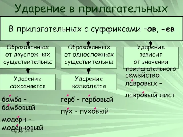 Марцофляк И.В. В прилагательных с суффиксами –ов, -ев Ударение в прилагательных Образованных