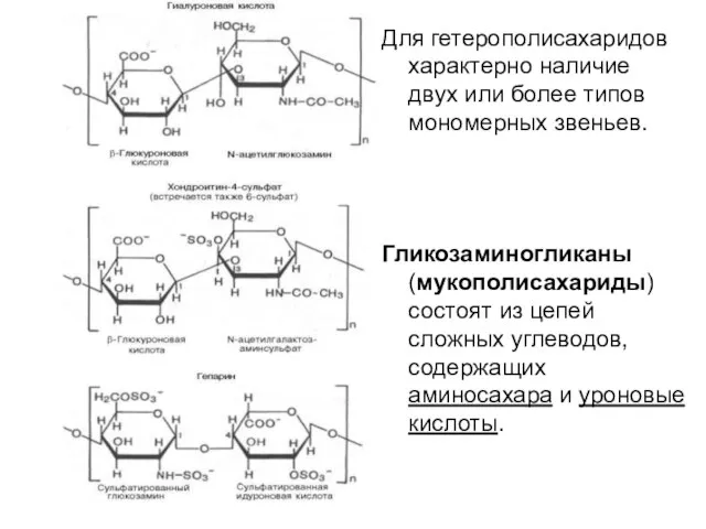 Для гетерополисахаридов характерно наличие двух или более типов мономерных звеньев. Гликозаминогликаны (мукополисахариды)