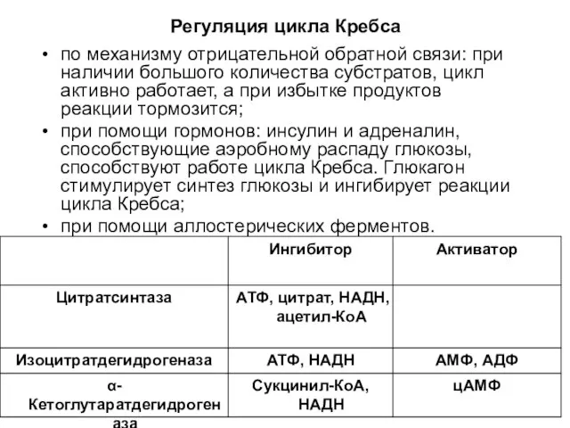 Регуляция цикла Кребса по механизму отрицательной обратной связи: при наличии большого количества