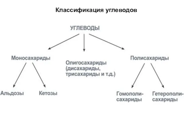 Классификация углеводов