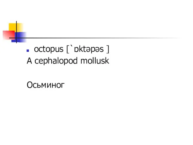 octopus [`ɒktəpəs ] A cephalopod mollusk Осьминог