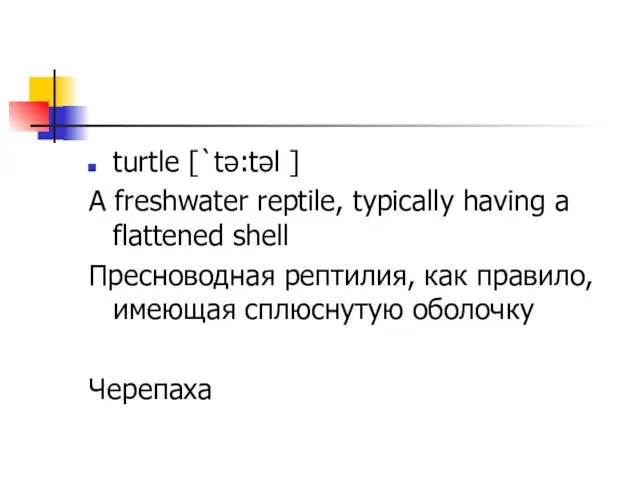 turtle [`tə:təl ] A freshwater reptile, typically having a flattened shell Пресноводная