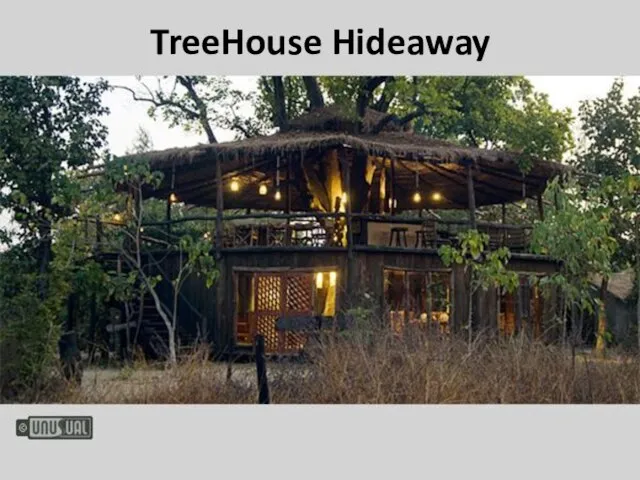 TreeHouse Hideaway