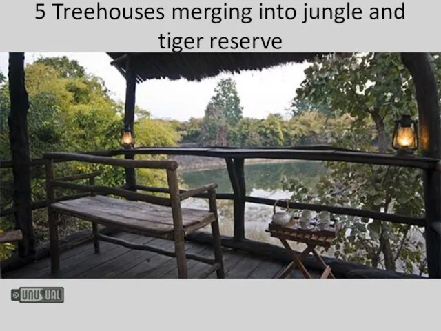 5 Treehouses merging into jungle and tiger reserve