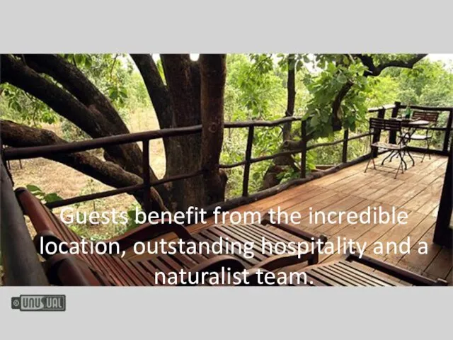 Guests benefit from the incredible location, outstanding hospitality and a naturalist team.