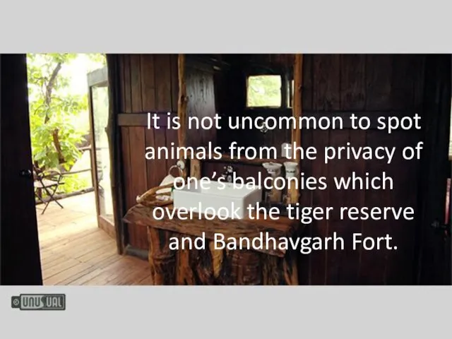 It is not uncommon to spot animals from the privacy of one’s