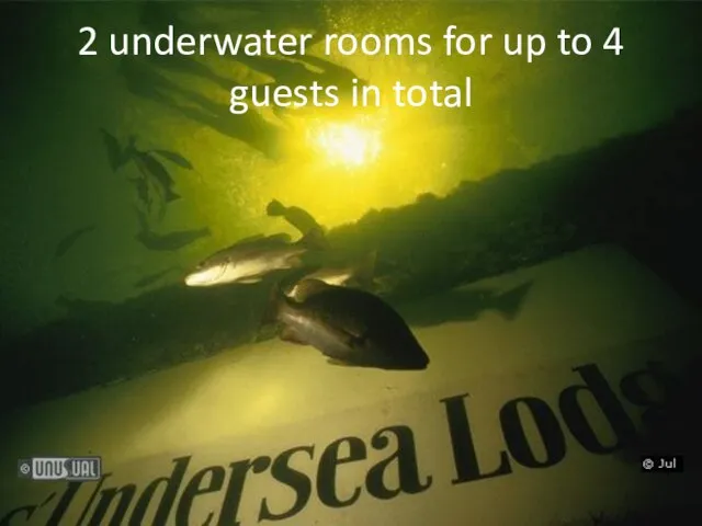 2 underwater rooms for up to 4 guests in total