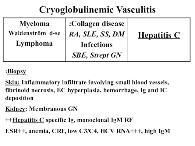 Cryoglobulinemic Vasculitis Biopsy: Skin: Inflammatory infiltrate involving small blood vessels, fibrinoid necrosis,