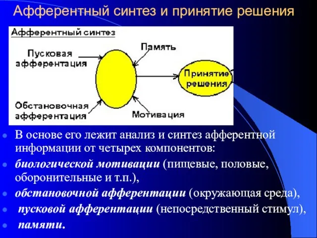 Афферентный синтез и принятие решения В основе его лежит анализ и синтез