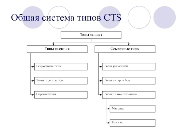 Общая система типов CTS