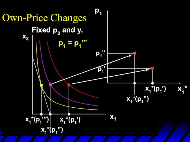 x1*(p1’’’) x1*(p1’) x1*(p1’’) p1 x1*(p1’) x1*(p1’’) p1’ p1’’ p1 = p1’’’ x1*