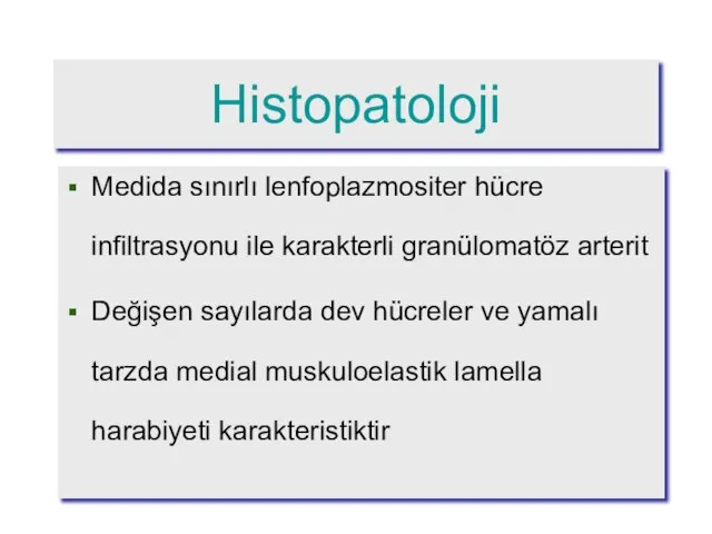 Histopatoloji Medida sınırlı lenfoplazmositer hücre infiltrasyonu ile karakterli granülomatöz arterit Değişen sayılarda