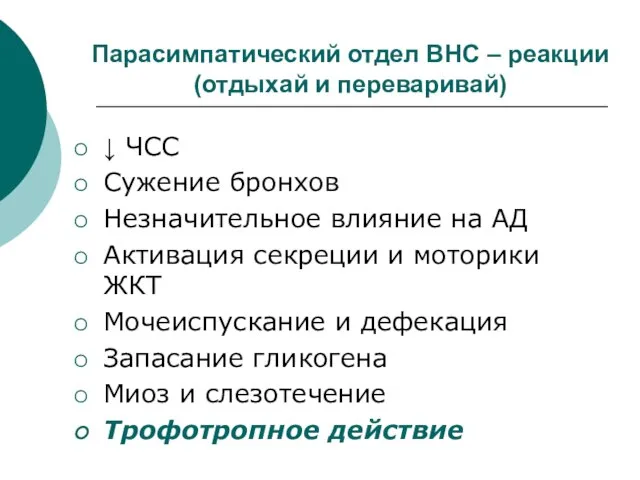 Парасимпатический отдел ВНС – реакции (отдыхай и переваривай) ↓ ЧСС Сужение бронхов