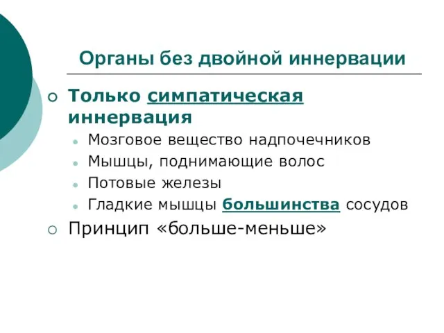 Органы без двойной иннервации Только симпатическая иннервация Мозговое вещество надпочечников Мышцы, поднимающие