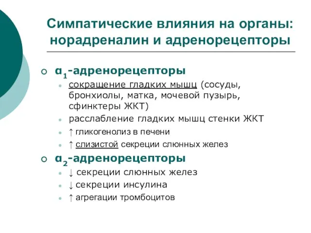 Симпатические влияния на органы: норадреналин и адренорецепторы α1-адренорецепторы сокращение гладких мышц (сосуды,