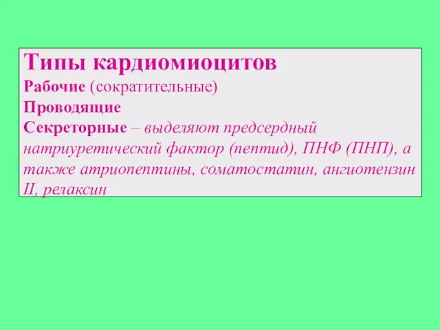 Типы кардиомиоцитов Рабочие (сократительные) Проводящие Секреторные – выделяют предсердный натриуретический фактор (пептид),