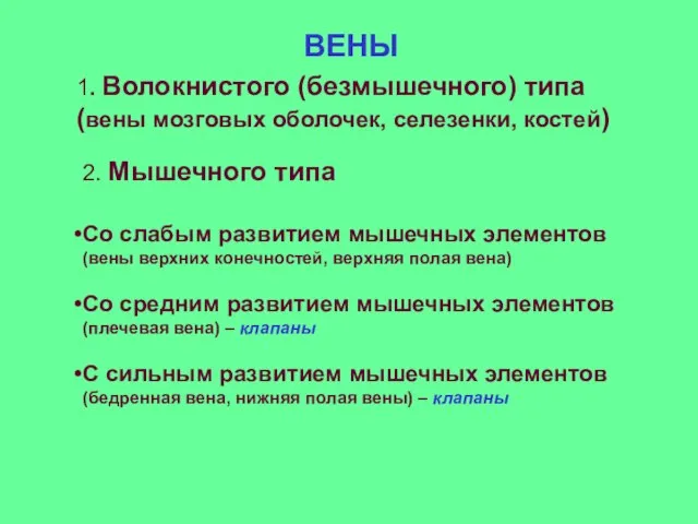 ВЕНЫ 1. Волокнистого (безмышечного) типа (вены мозговых оболочек, селезенки, костей) 2. Мышечного