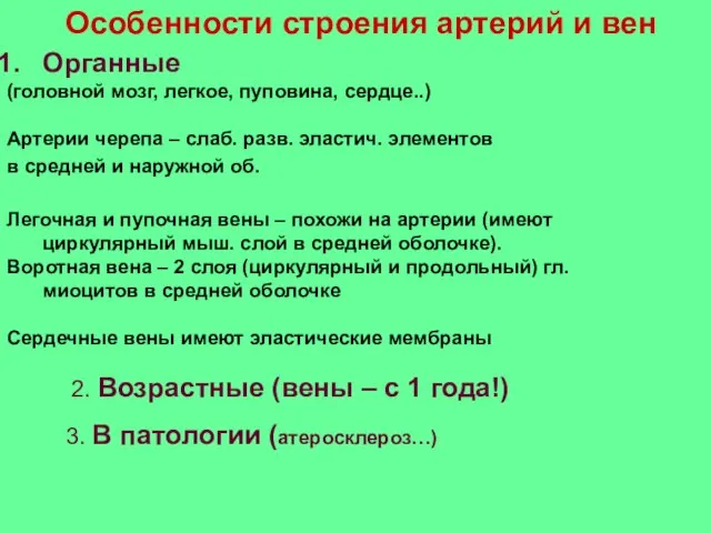 Особенности строения артерий и вен Органные (головной мозг, легкое, пуповина, сердце..) Артерии