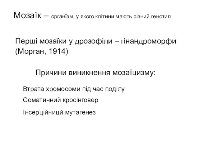 Перші мозаїки у дрозофіли – гінандроморфи (Морган, 1914) Причини виникнення мозаїцизму: Мозаїк