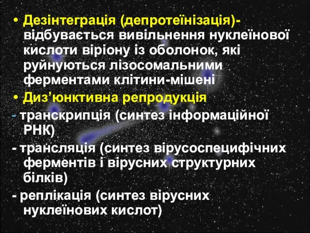 Дезінтеграція (депротеїнізація)- відбувається вивільнення нуклеїнової кислоти віріону із оболонок, які руйнуються лізосомальними