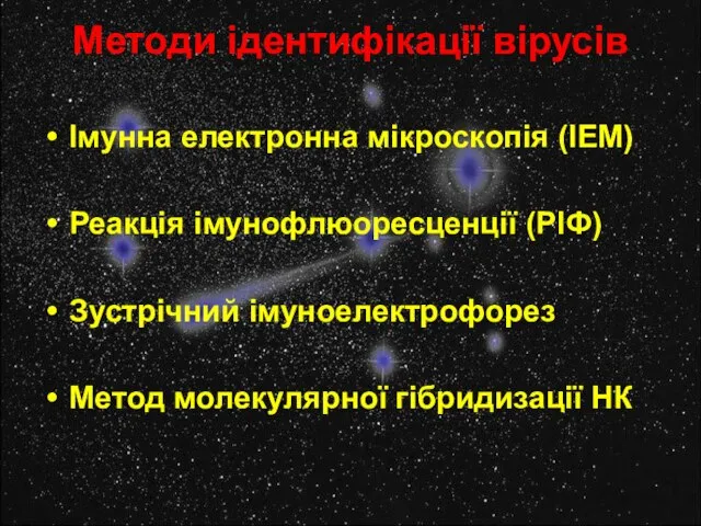 Методи ідентифікації вірусів Імунна електронна мікроскопія (ІЕМ) Реакція імунофлюоресценції (РІФ) Зустрічний імуноелектрофорез Метод молекулярної гібридизації НК