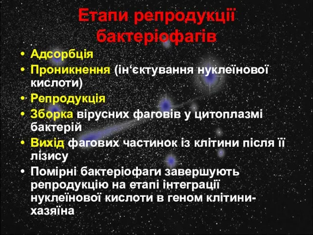 Етапи репродукції бактеріофагів Адсорбція Проникнення (ін‘єктування нуклеїнової кислоти) Репродукція Зборка вірусних фаговів