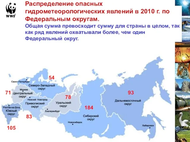 78 184 93 83 54 71 105 Распределение опасных гидрометеорологических явлений в