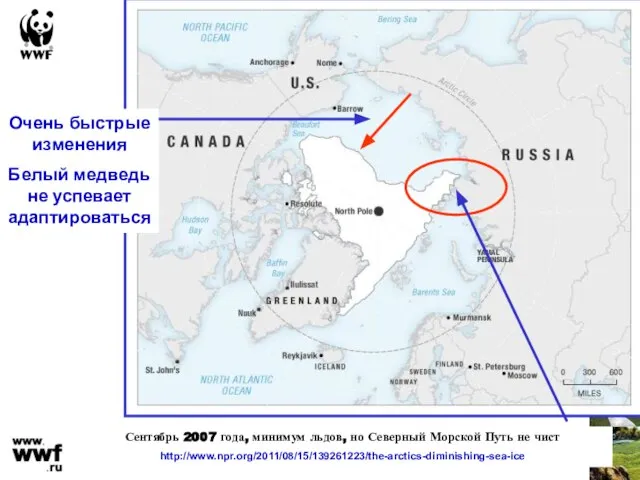 Сентябрь 2007 года, минимум льдов, но Северный Морской Путь не чист http://www.npr.org/2011/08/15/139261223/the-arctics-diminishing-sea-ice