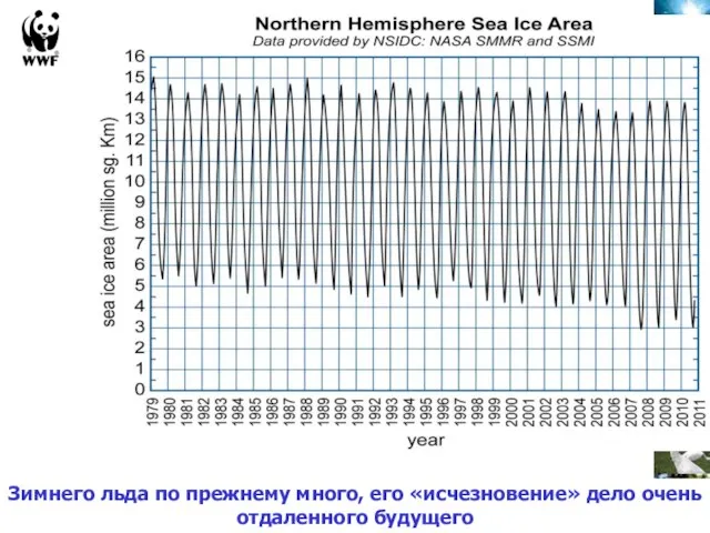 Зимнего льда по прежнему много, его «исчезновение» дело очень отдаленного будущего