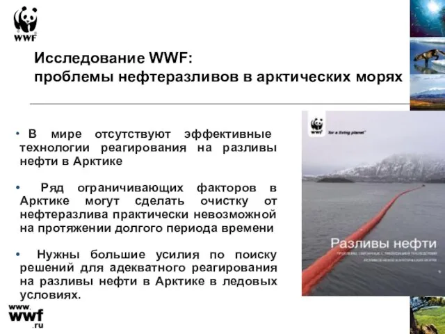 Исследование WWF: проблемы нефтеразливов в арктических морях В мире отсутствуют эффективные технологии